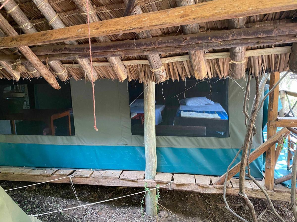 Maasai Simba Camp Otel Amboseli Dış mekan fotoğraf