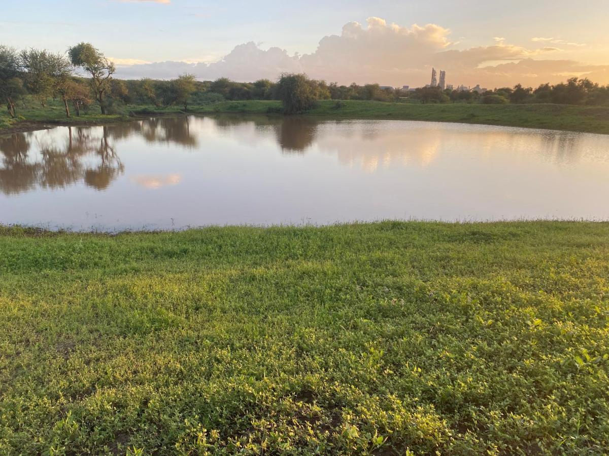 Maasai Simba Camp Otel Amboseli Dış mekan fotoğraf