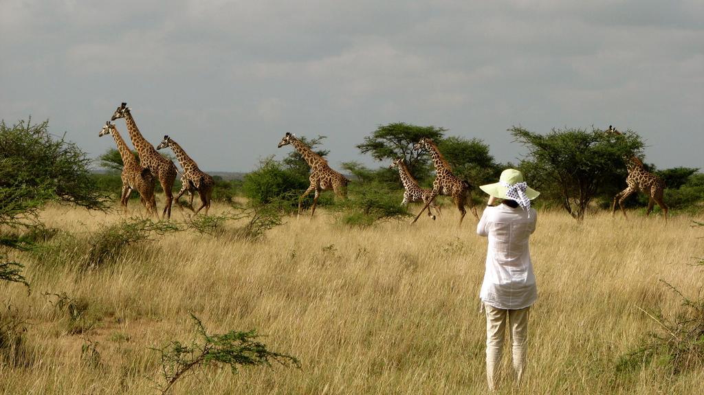 Maasai Simba Camp Otel Amboseli Dış mekan fotoğraf