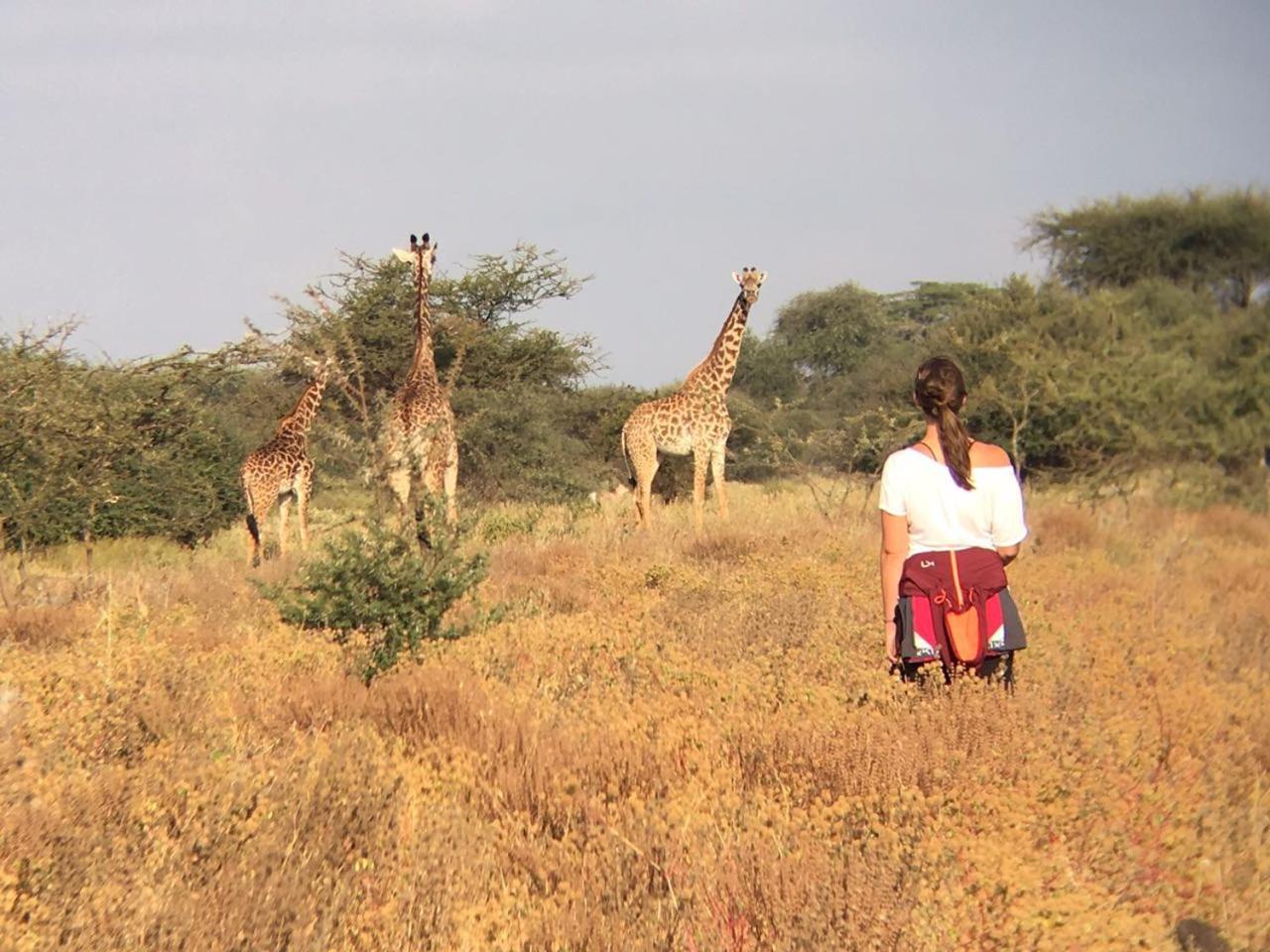 Maasai Simba Camp Otel Amboseli Dış mekan fotoğraf