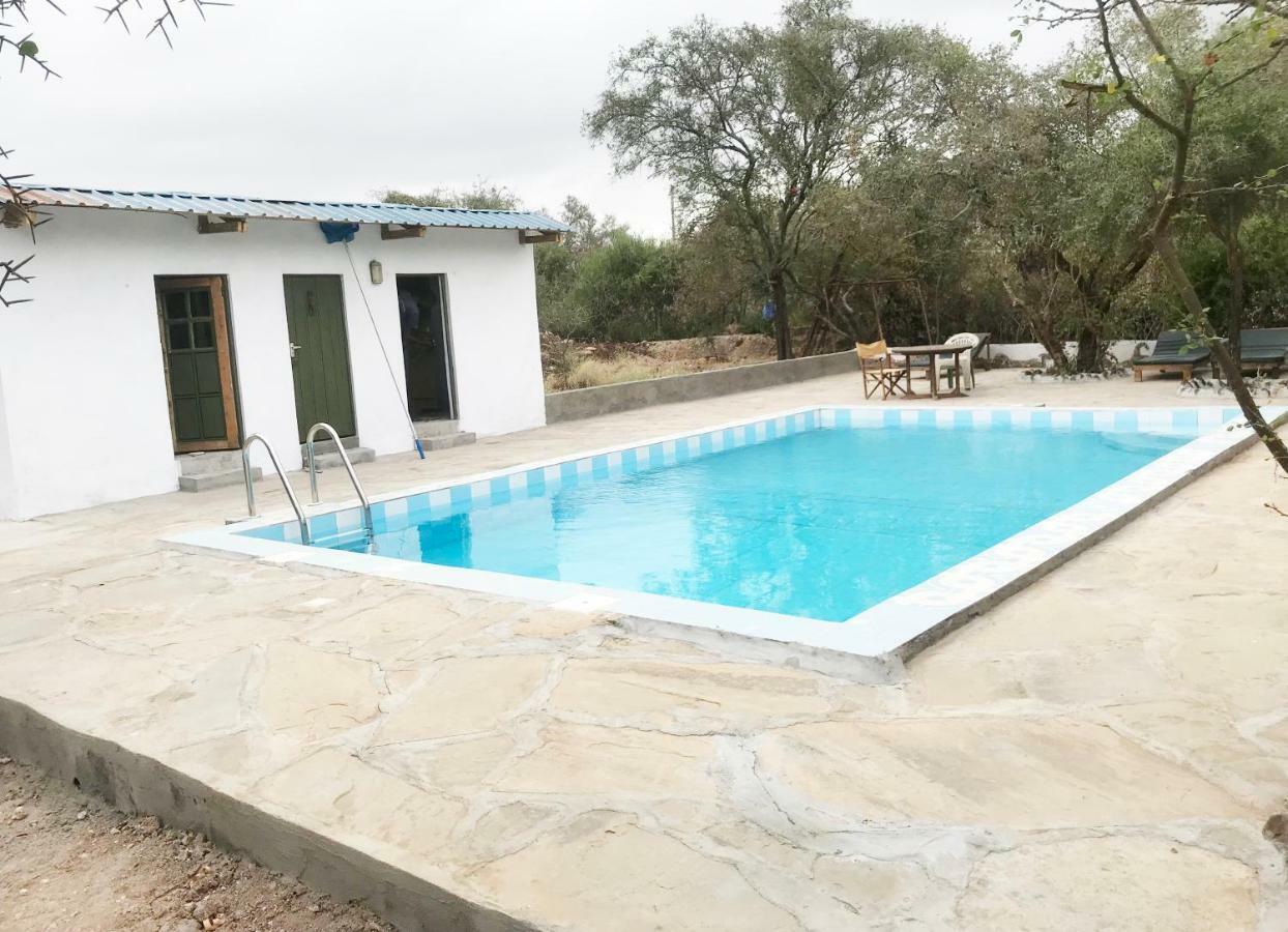 Maasai Simba Camp Otel Amboseli Dış mekan fotoğraf